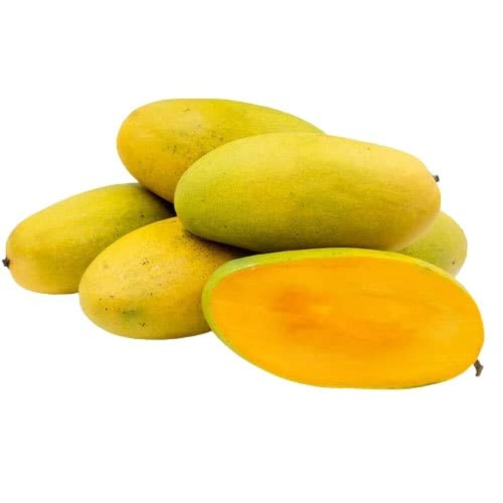 Dasheri Mango