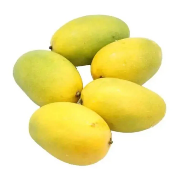 Chausa mango