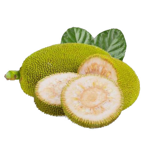 Jackfruit (Kathal)